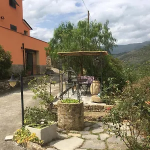 Olivo Al Mare - By Host4u Apartment